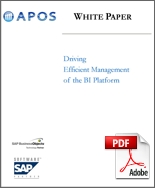 White Paper - Driving Efficient Management of the BI Platform