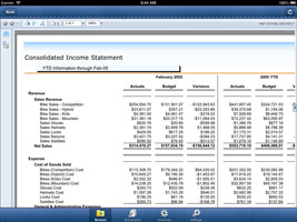 iPad consolidated income report