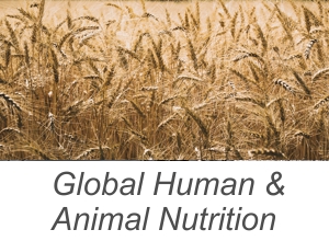 Human and Animal Nutrition Leader Success Story with APOS Live Data Gateway