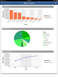 iPad chart