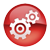 administrator