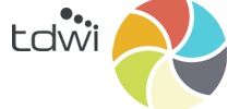TDWI Enterprise Data Governance