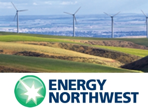 Energy Northwest Success Story with APOS Insight