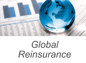 Global Reinsurance Success Story with APOS Insight
